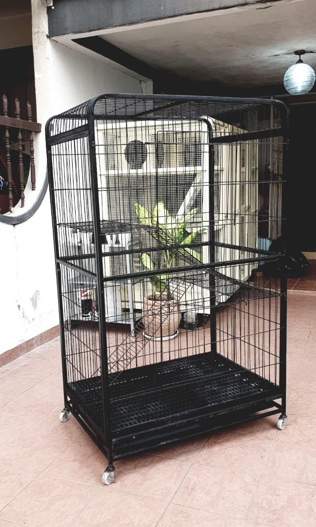 Sangkar Kucing Terpakai Untuk Dijual - Jual Kandang Kucing Anjing