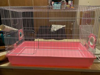 （分類：）位於 。 由 yonachengcty 提交（商品編號 1009264481，圖片 1）。簡介： 。
