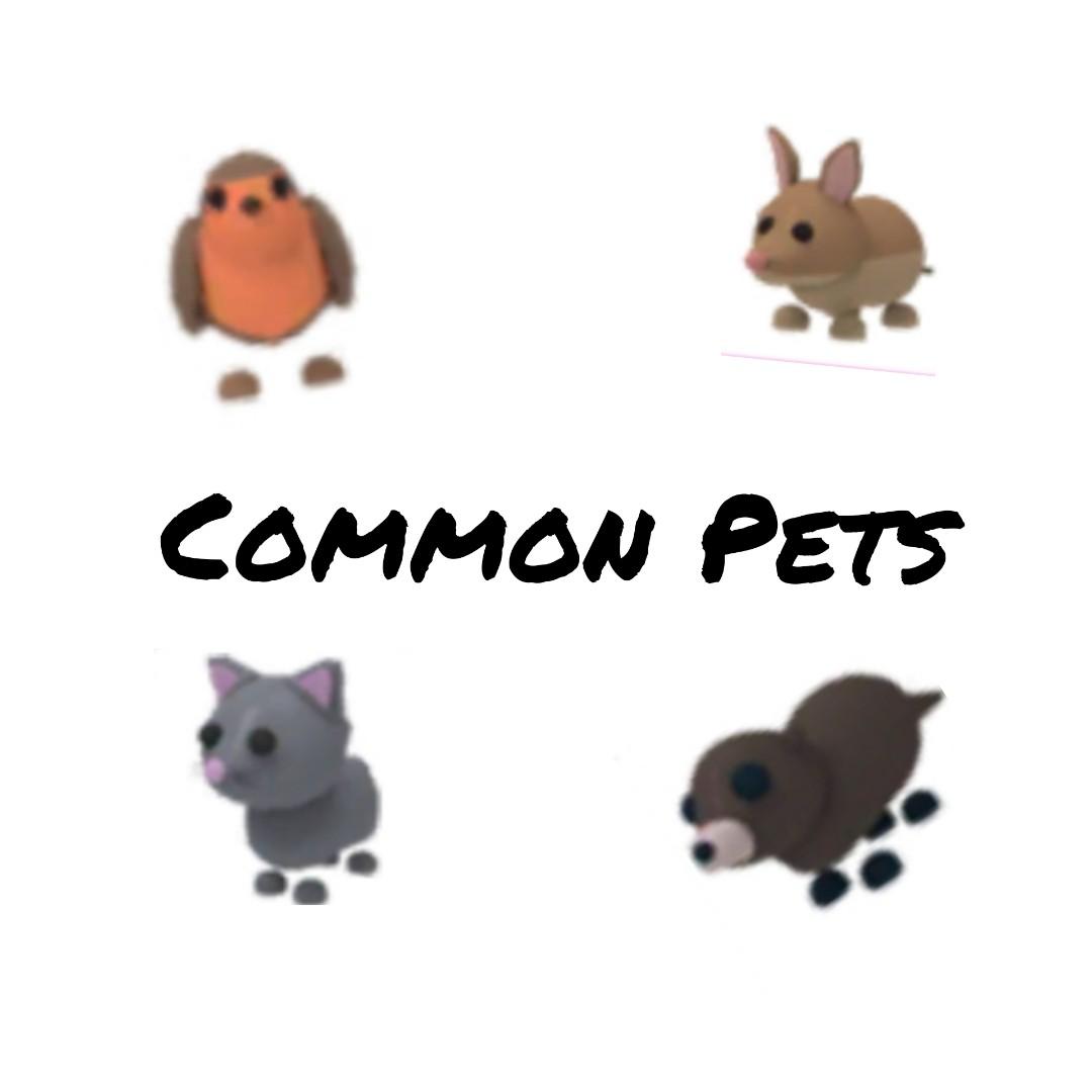 Roblox Adopt Me Pets Pictures Common
