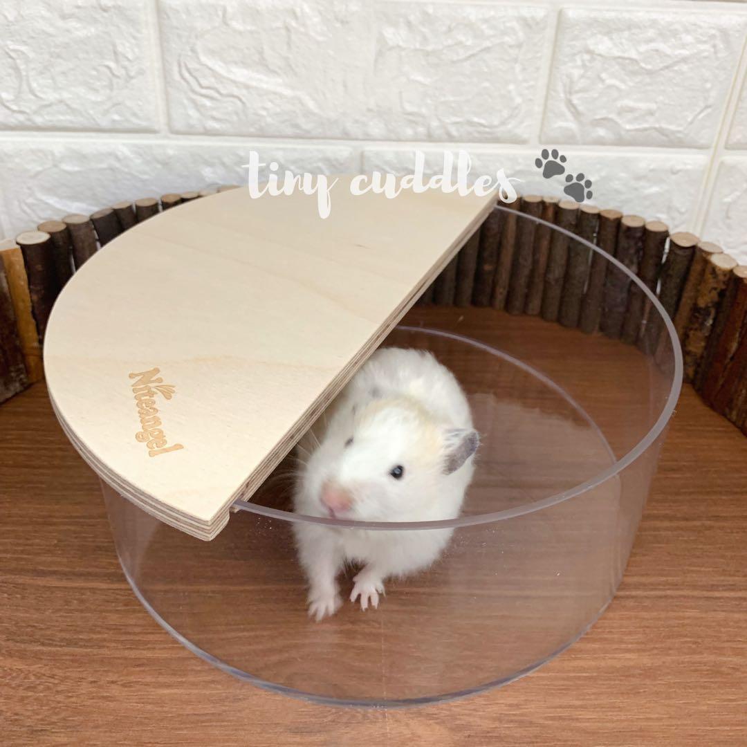 Hamster sand bath dish outlet