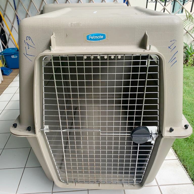 Petmate deals xl crate
