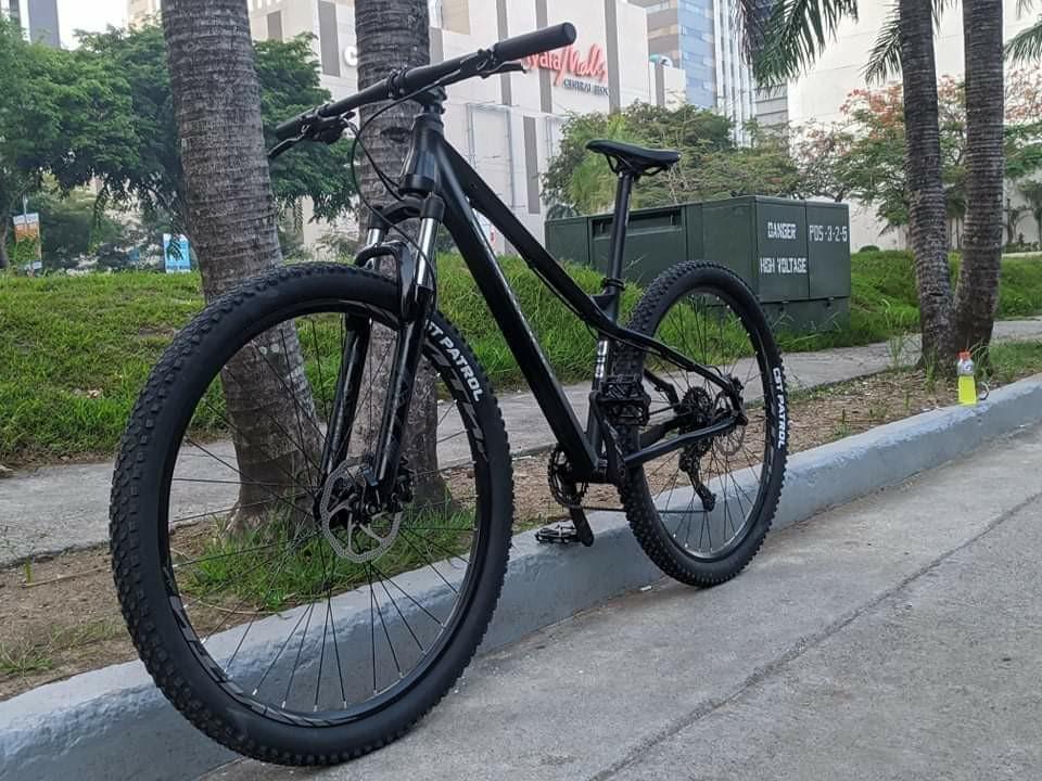 Pinewood trident pro 29er price store