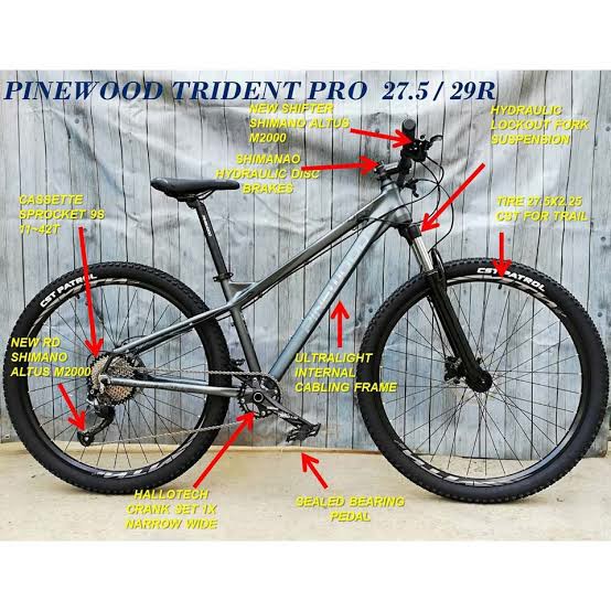 pinewood 29er