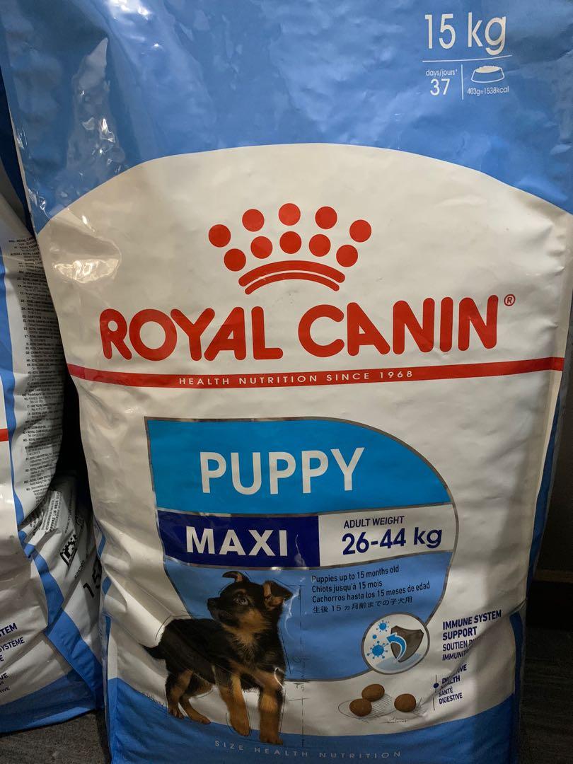 Royal Canin Puppy Maxi 15kg Pets Supplies Pet Food On Carousell