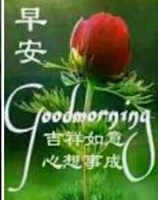 由 chec0928 (刊登 ID 1009289802，圖片 1) 提交，位於 的 (類別：)，說明：。
