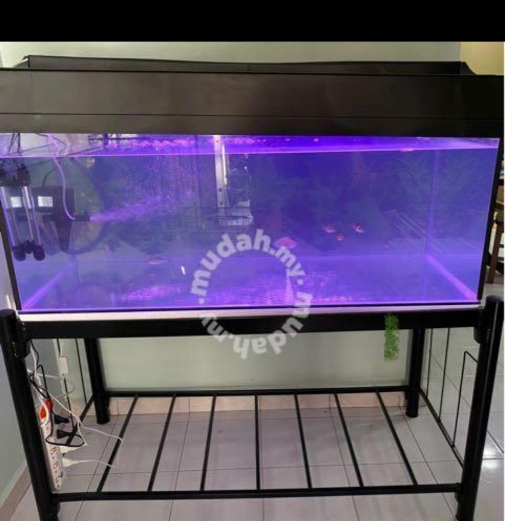 Aquarium 4ft 2ft 1 5ft At Ipoh Rm800 Pet Supplies Pet Accessories On Carousell