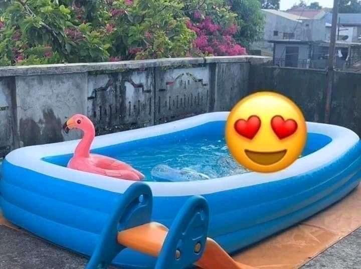 Inflatable Large pool H20 GO, Furniture & Home Living, Cleaning