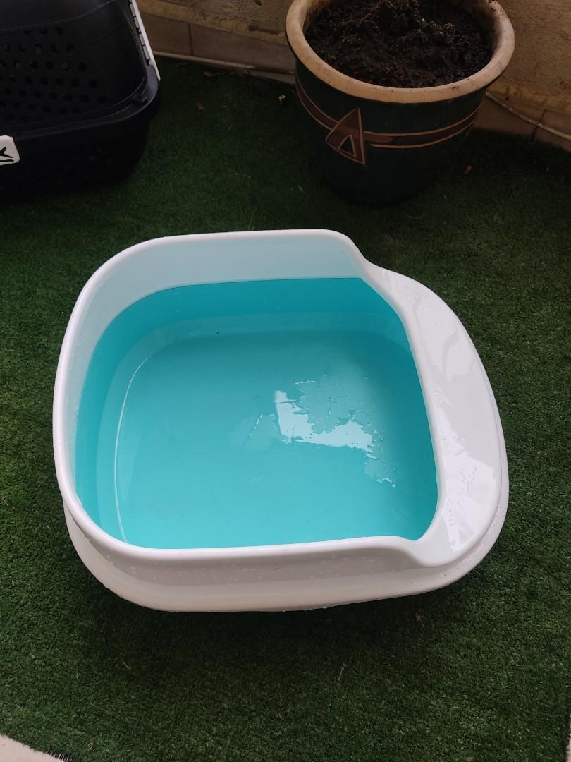 Cat carrier cheap litter box combo