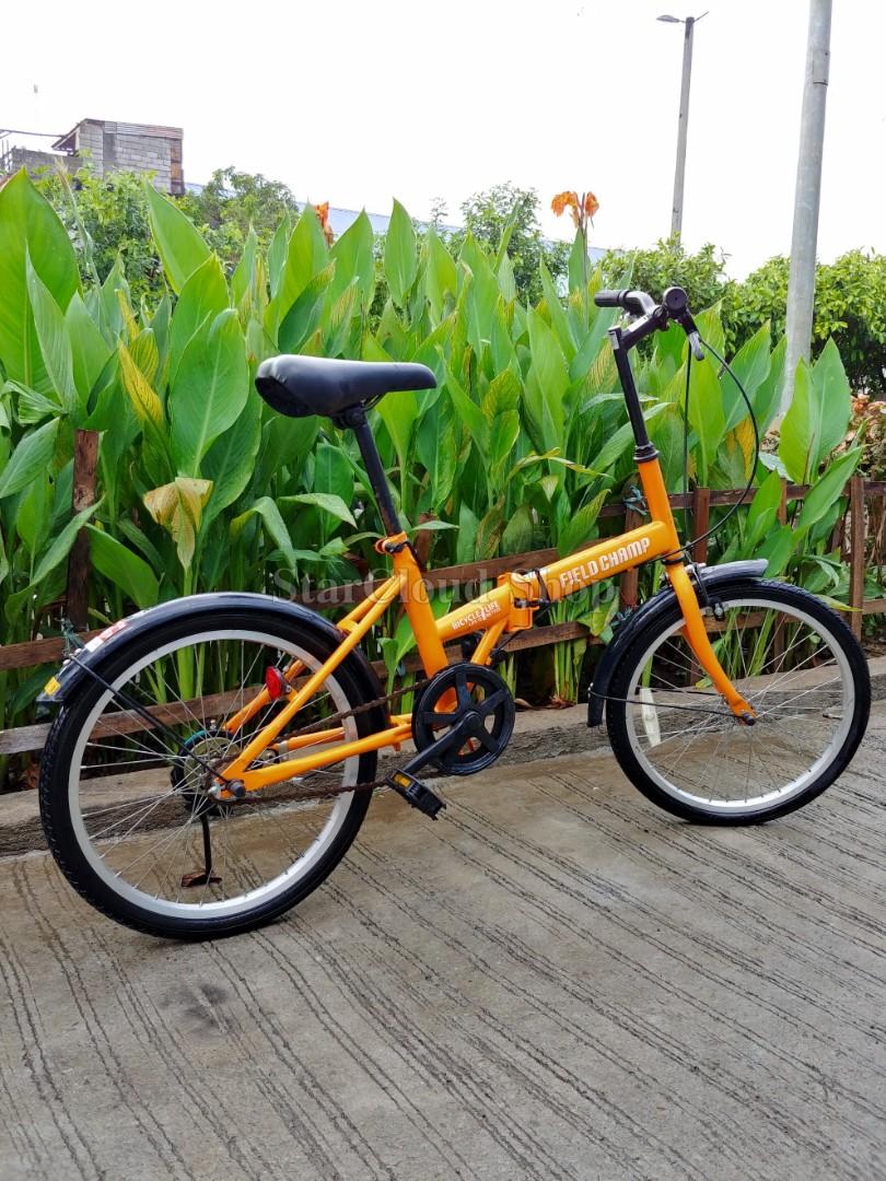 16 inch champ bike