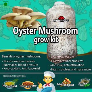 mushroom fruiting bag philippines