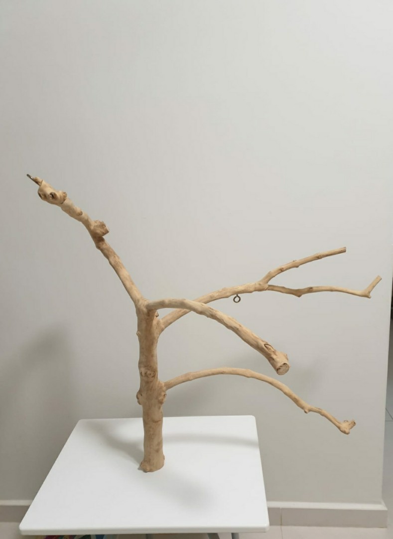 Java tree stand, Pet Supplies, Homes & Other Pet Accessories on Carousell