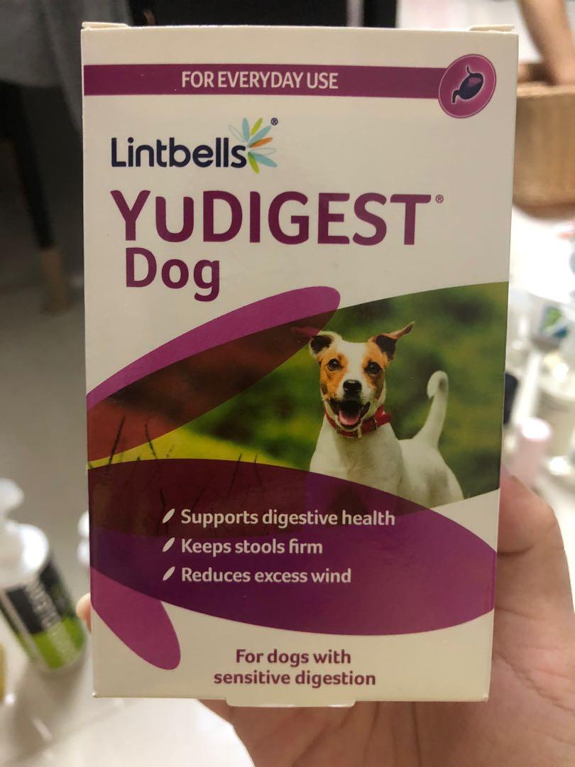 lintbells yudigest dog