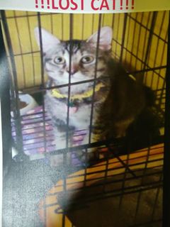 (Category: ) located in . Submitted by usernameisnotavailable (Listing ID 1009662534, Image 1). Description: .