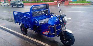 Ebike 3 Wheels View All Ebike 3 Wheels Ads In Carousell Philippines