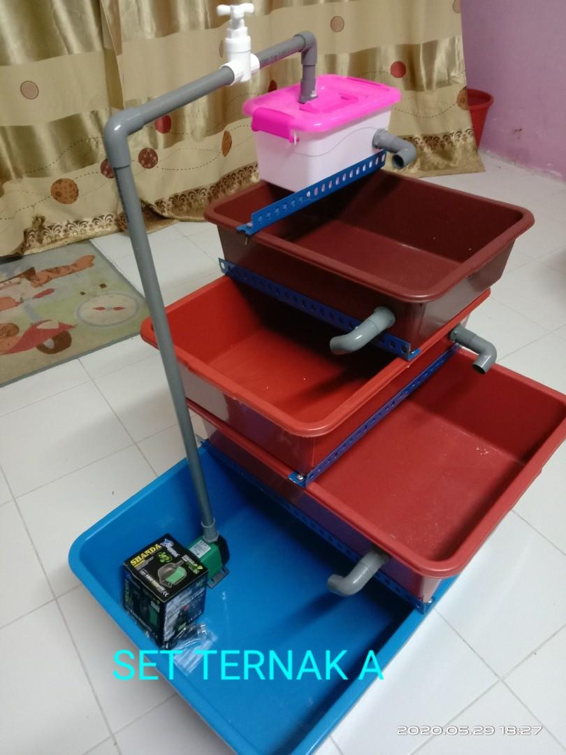 Set Ternak Lobster Ekonomi Set A Pet Supplies Pet Accessories On
