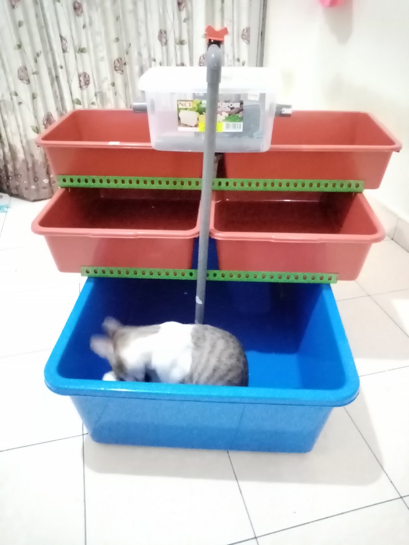 Set Ternak Lobster Ekonomi Set B Pet Supplies Pet Accessories On