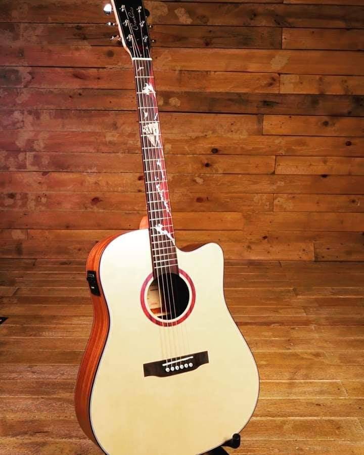 SQoe Cranberries (41" w/ Fishman Pickup), Hobbies & Toys, Music & Media