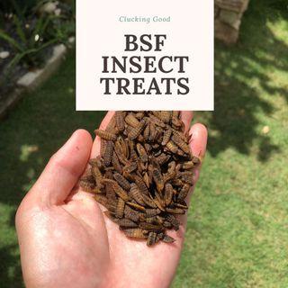 [POPULAR!] Dried BSF Larvae/Powder