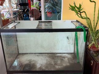 2.5ft fish tank
