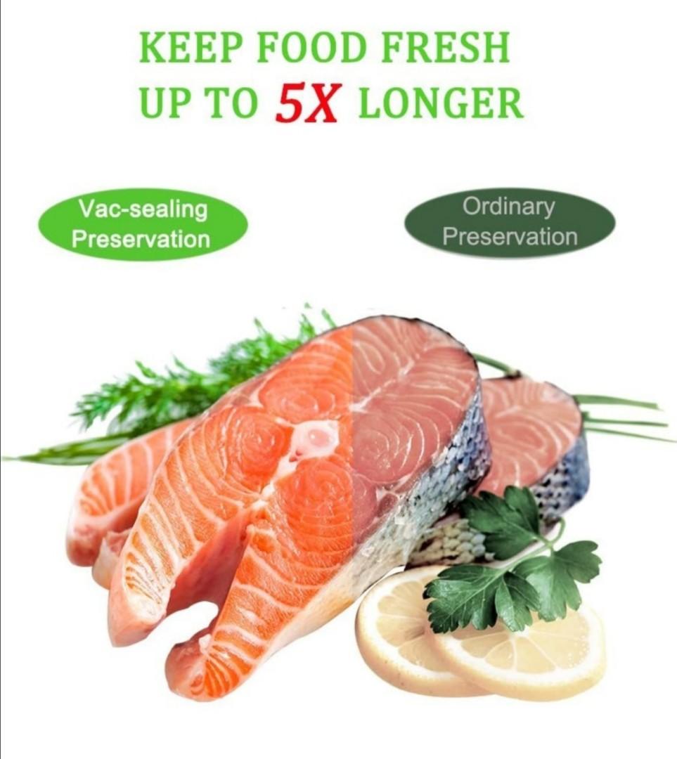 Aobosi Vacuum food Sealer YVS102, TV & Home Appliances, Kitchen