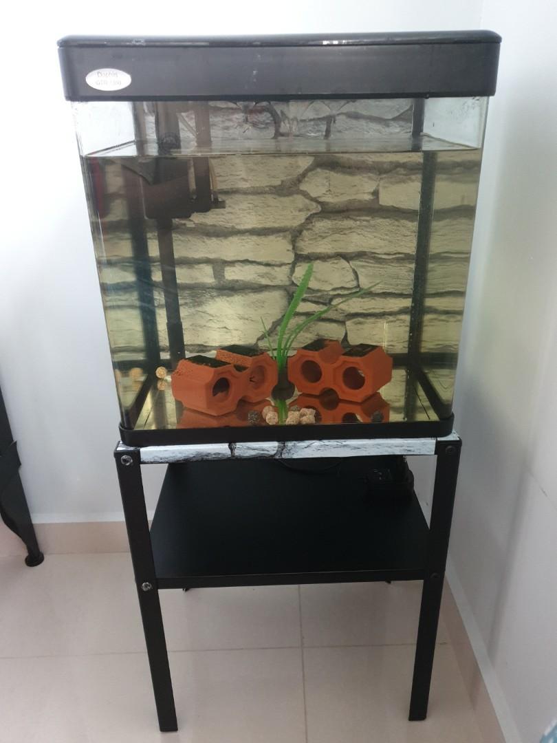 Pin On Aquarium