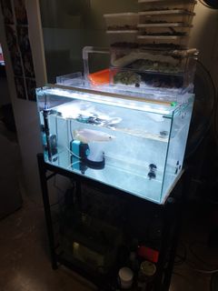 (Category: ) located in . Submitted by r_1986 (Listing ID 1004183621, Image 1). Description: .