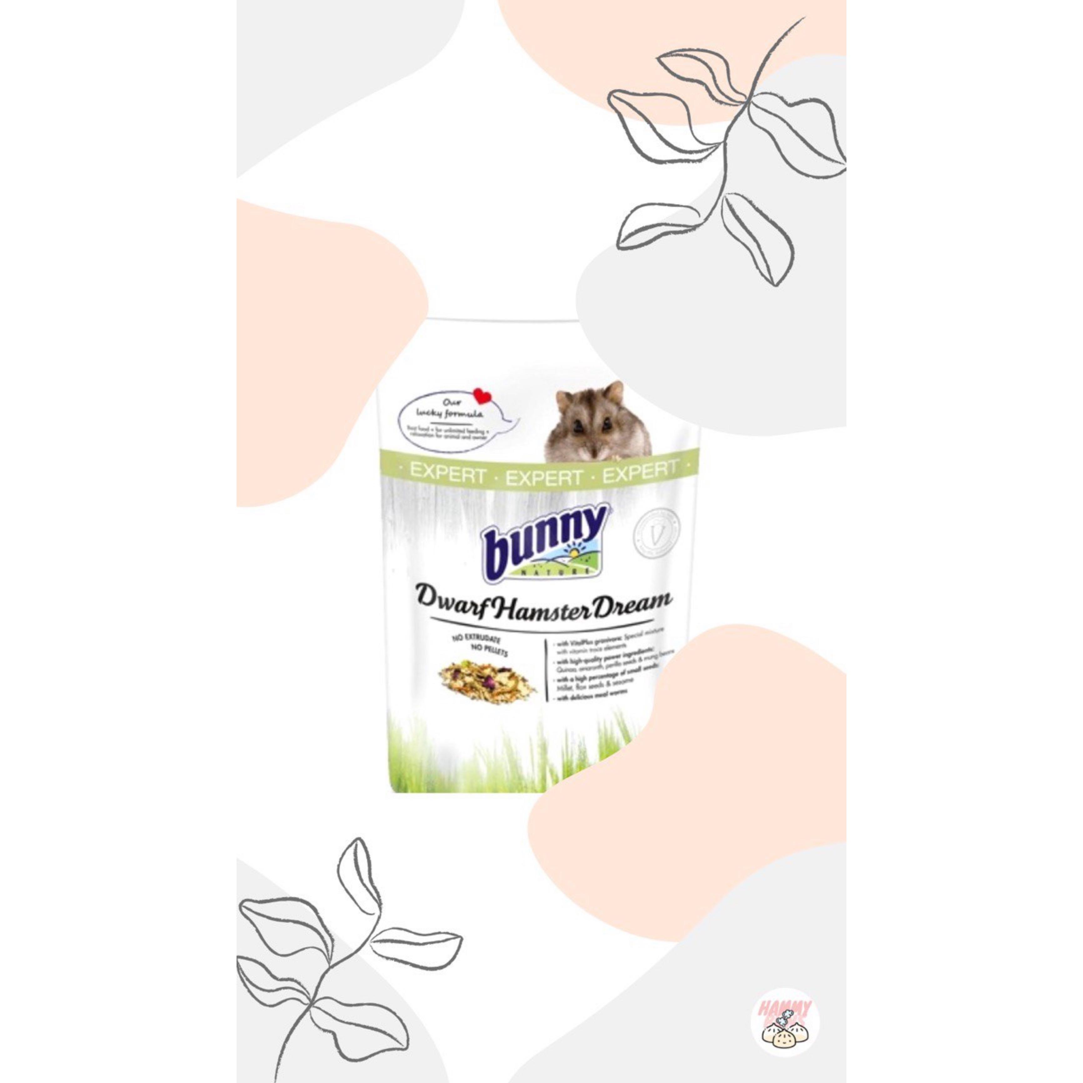 Bunny dwarf 2025 hamster dream