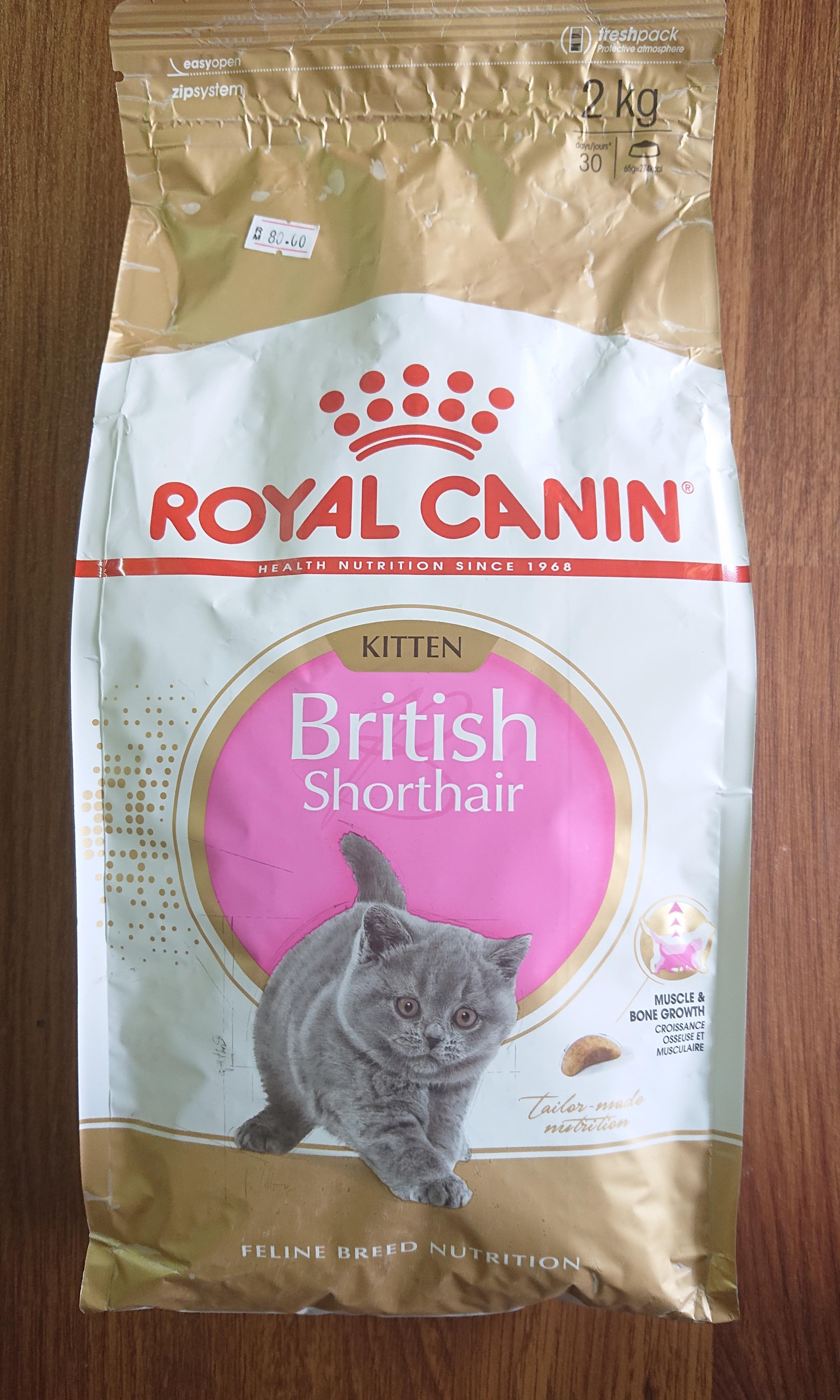 Royal Canin British Short Hair Kitten 2kg Pet Supplies Pet Food On Carousell