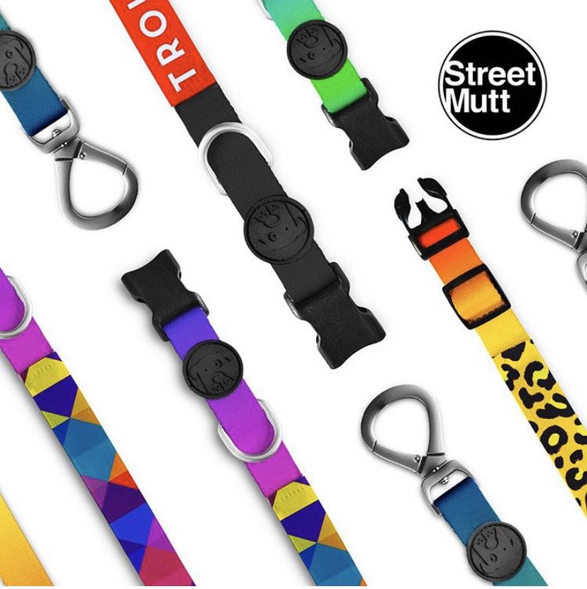 Street Mutt Leashes & Collars