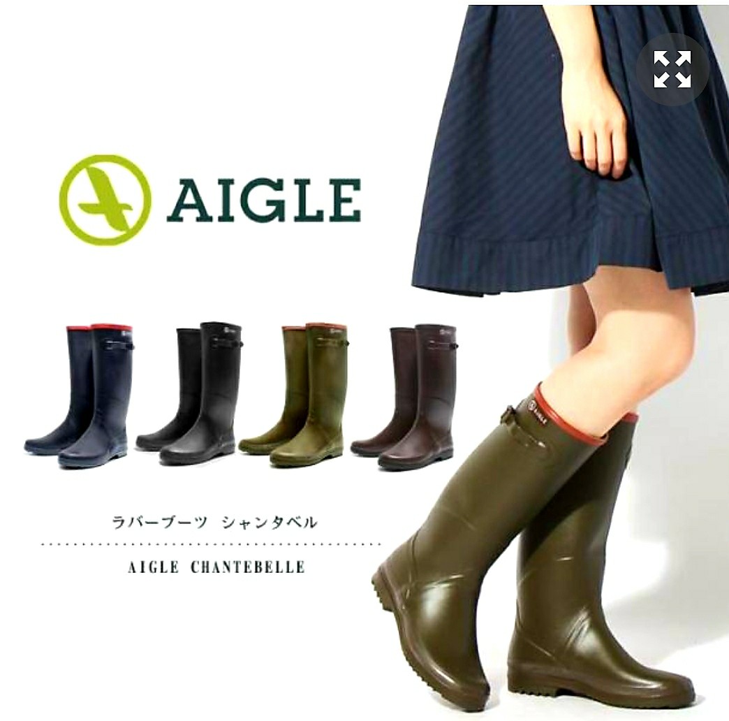 aigle chantebelle
