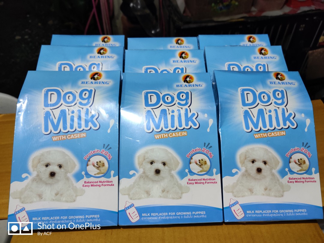 Bearing Dogs Milk Pet Supplies Pet Food on Carousell