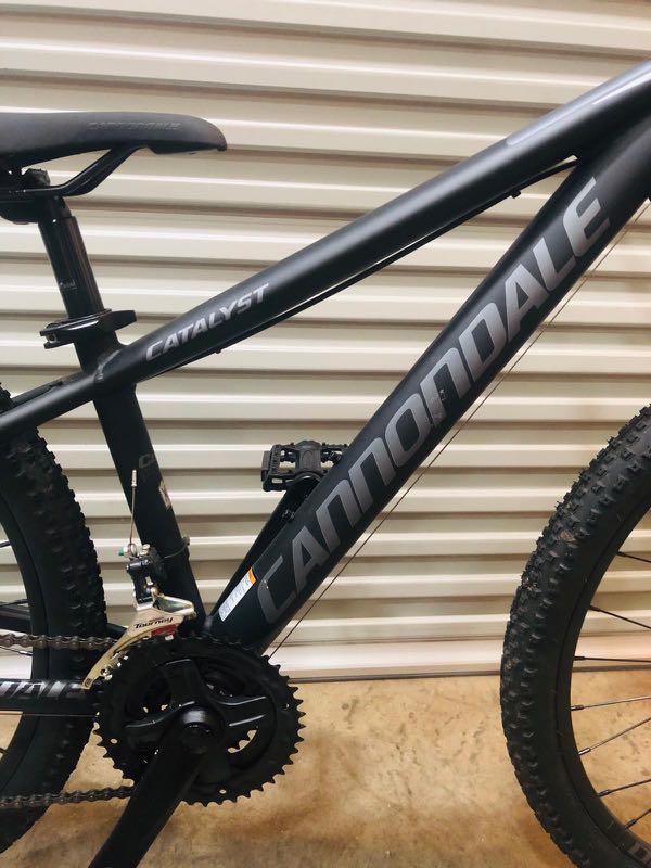Cannondale catalyst 2 hotsell 2021