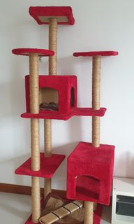 (Category: ) located in . Submitted by calamaro (Listing ID 1009880813, Image 1). Description: .