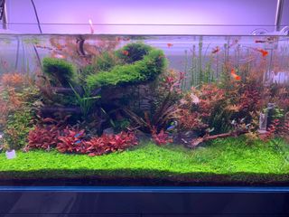 (Category: ) located in . Submitted by tygerlim (Listing ID 1009824578, Image 1). Description: .