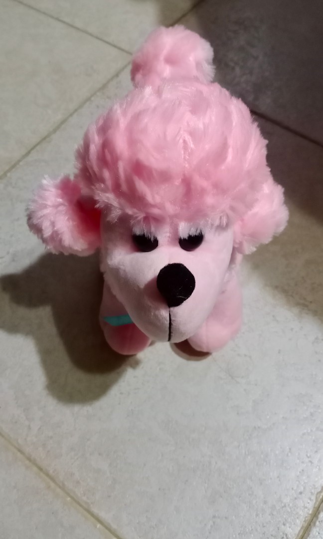 Cute curly dog, Toys & Games, Stuffed Toys on Carousell