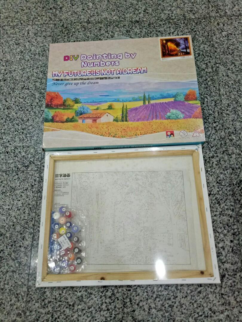16 X 20 Diy Painting By Numbers On Carousell