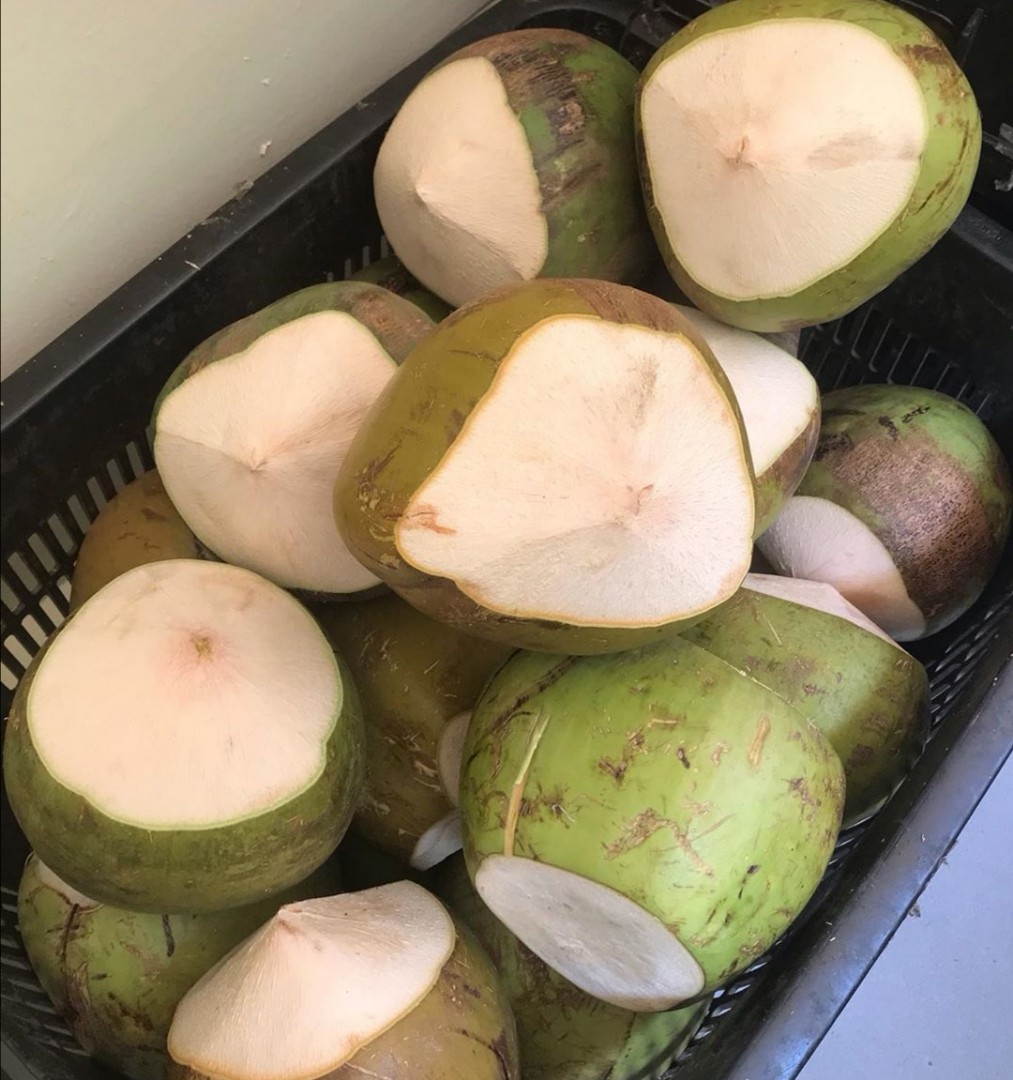 Fresh coconut delivery, Food & Drinks, Packaged & Instant Food on Carousell