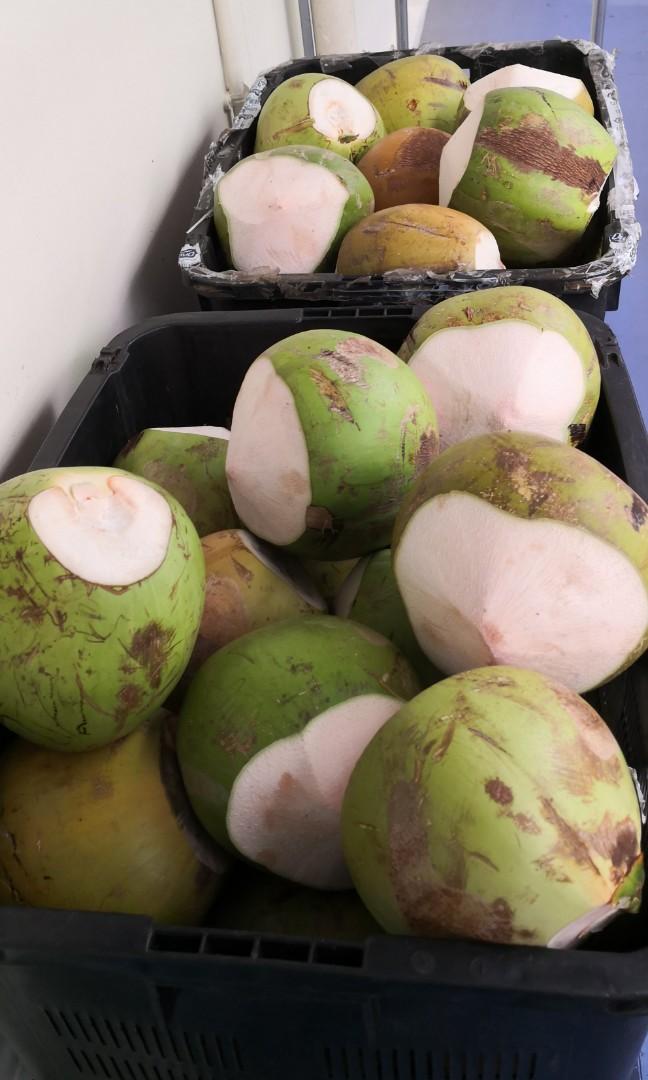 Fresh coconut delivery, Food & Drinks, Packaged & Instant Food on Carousell