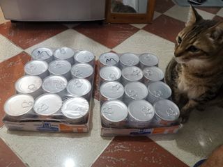 （分類：）位於 。 由 bert76 提交（商品編號 1009777839，圖片 1）。簡介： 。