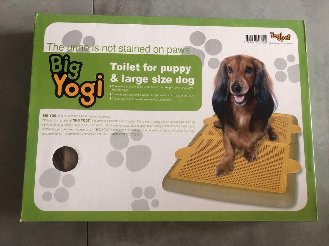 yogi pee tray