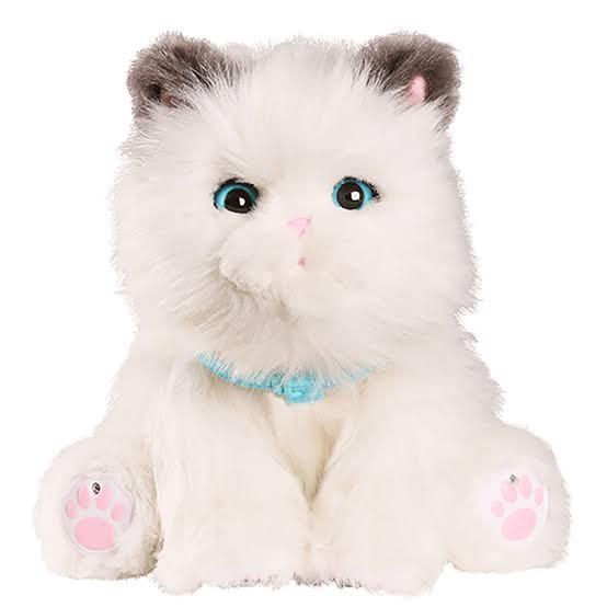 I M LOOKING FOR Little Live Pets Snuggles Cat Hobbies Toys Toys Games on Carousell