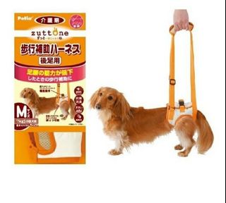 （分類：）位於 。 由 sofia_ng 提交（商品編號 1009993841，圖片 1）。簡介： 。