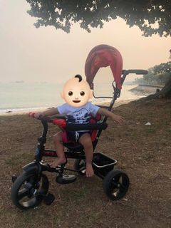 (Category: ) located in . Submitted by babbuscheapfinds (Listing ID 1009979007, Image 1). Description: .