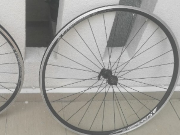 sundeal carbon bikes