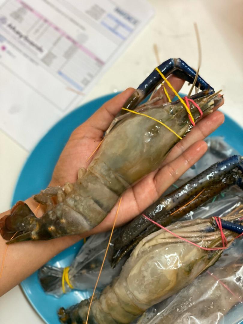 Udang Galah Besar Lobster Murah Fresh Sungai Food Drinks Food Drinks Others On Carousell