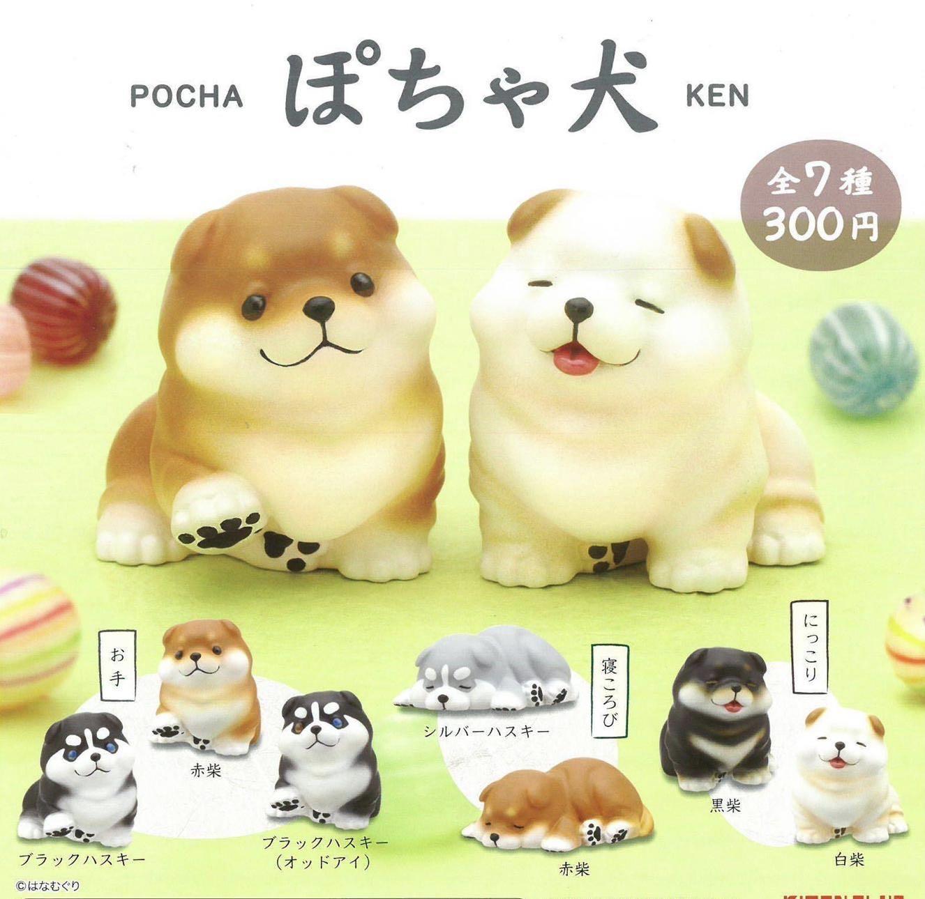 全新一套7款柴犬扭蛋連特別版豆柴日本拒否犬黑柴白柴 玩具 遊戲類 玩具 Carousell
