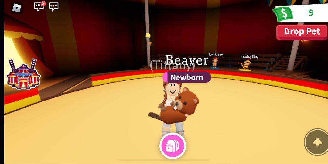 Beaver In Adopt Me