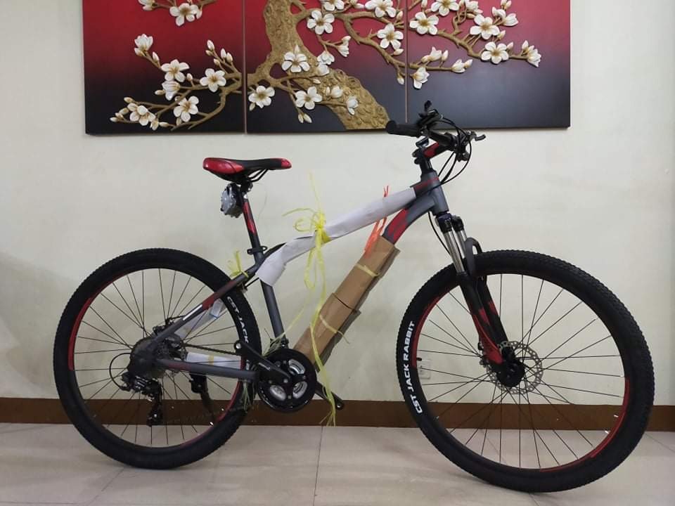 new bycycle