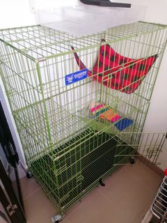 (Category: ) located in . Submitted by babysz (Listing ID 1010242079, Image 1). Description: .