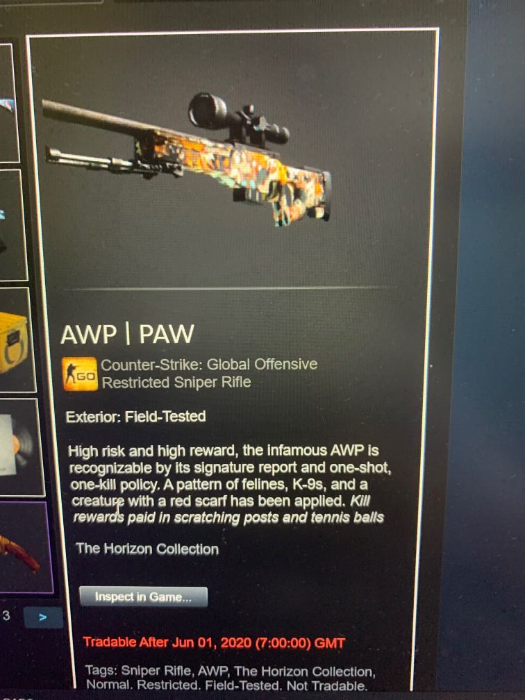 Csgo awp paw ft, Video Gaming Accessories, Game Gift & Accounts on Carousell